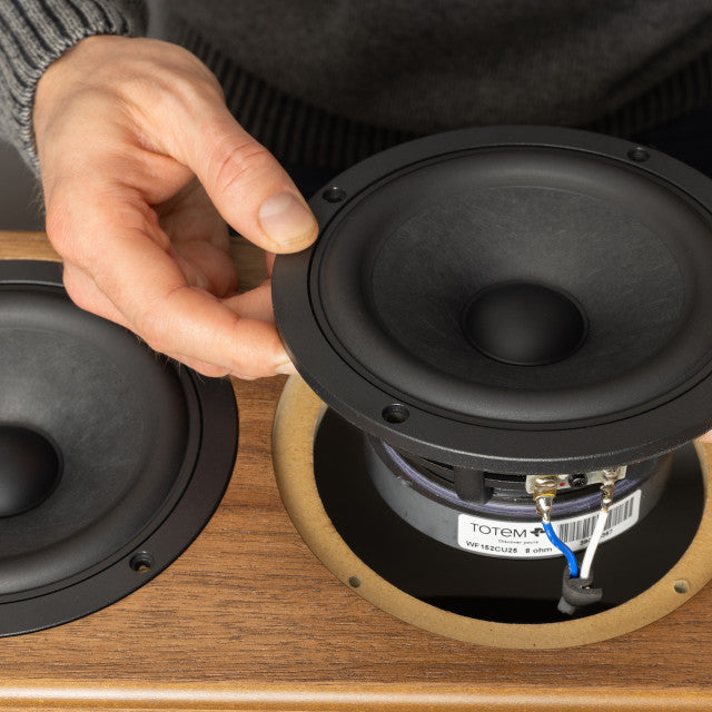 Totem Bison Twin Tower Speakers (Pair)