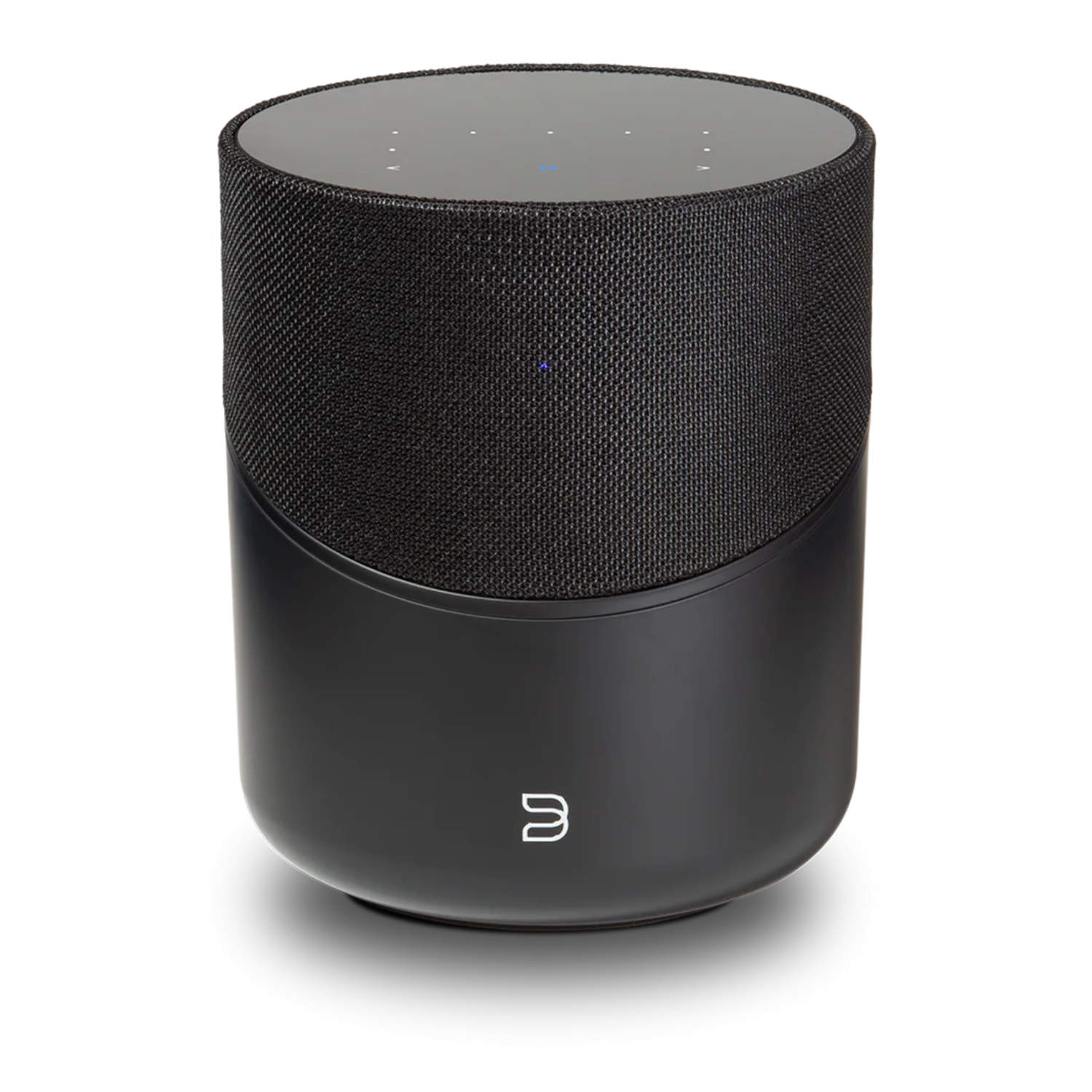 Bluesound Pulse M Speaker