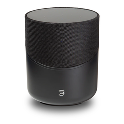 Bluesound Pulse M Speaker