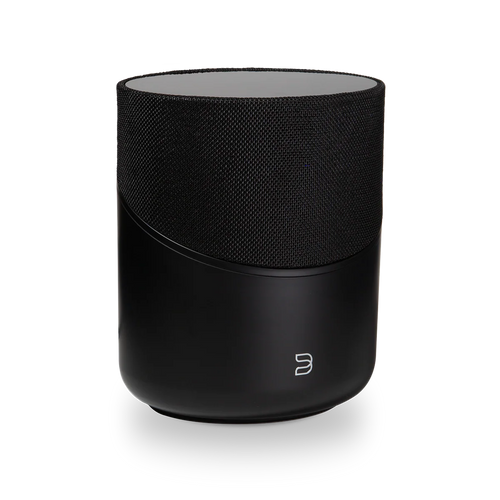 Bluesound Pulse M Speaker