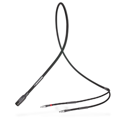 Synergistic Research Foundation XL Headphone Cable