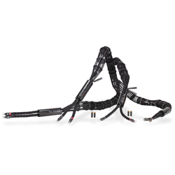 Synergistic Research SRX XL Speaker Cable