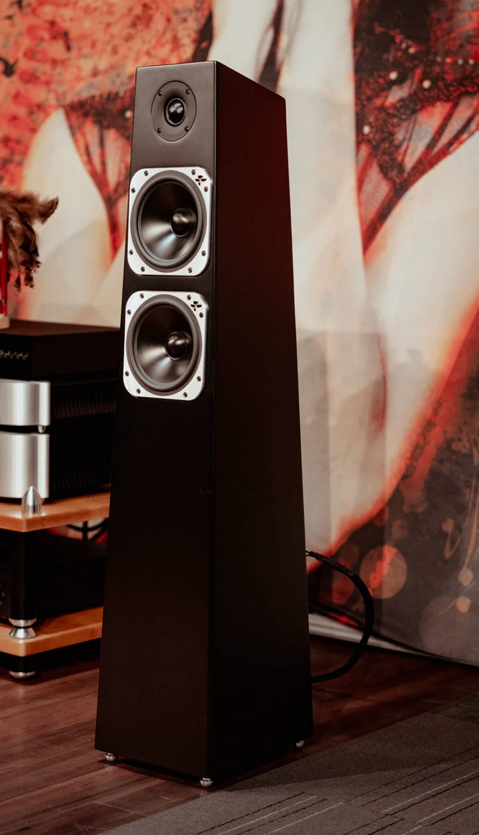 Totem Acoustic gallery 3