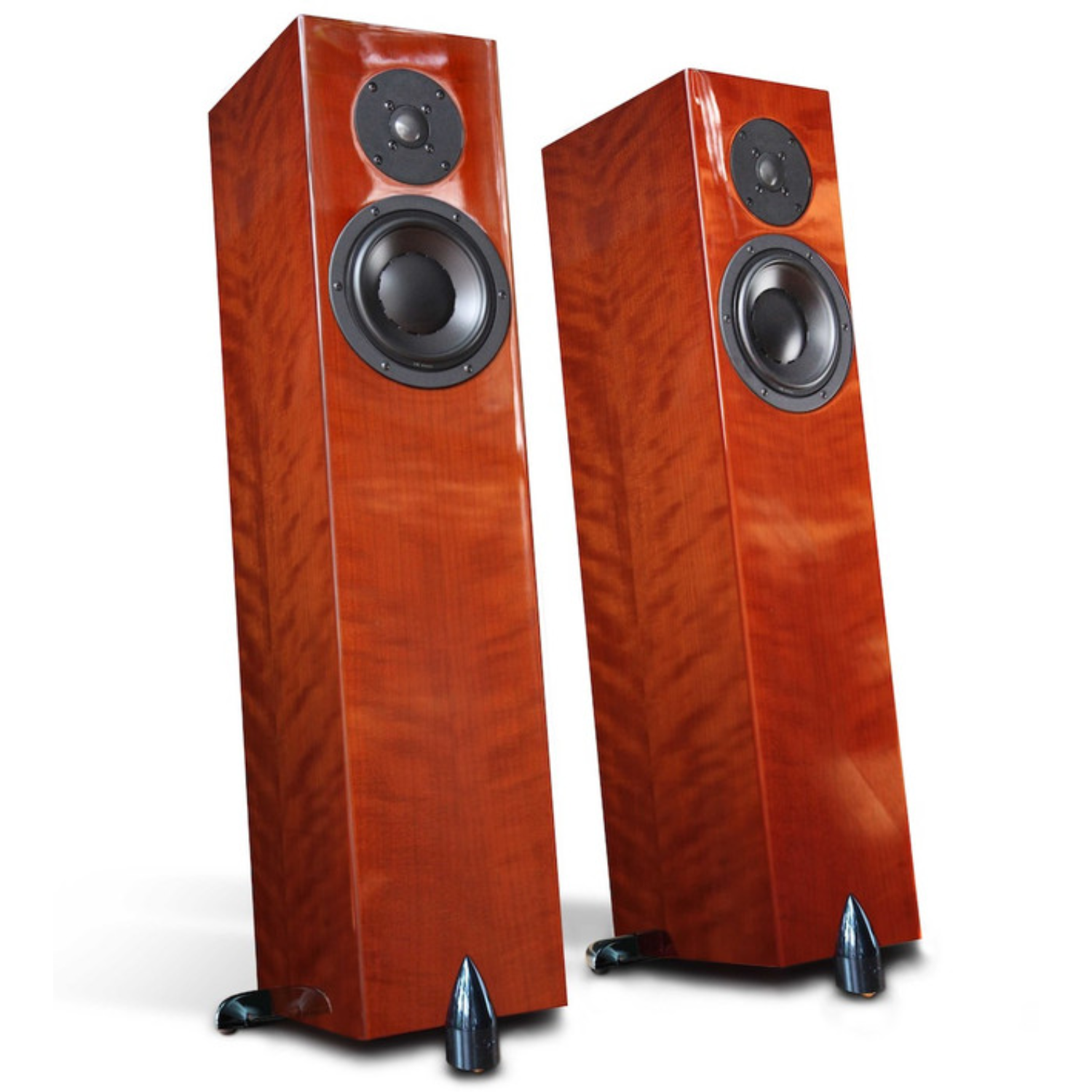 Totem Forest Signature Speakers (Pair)