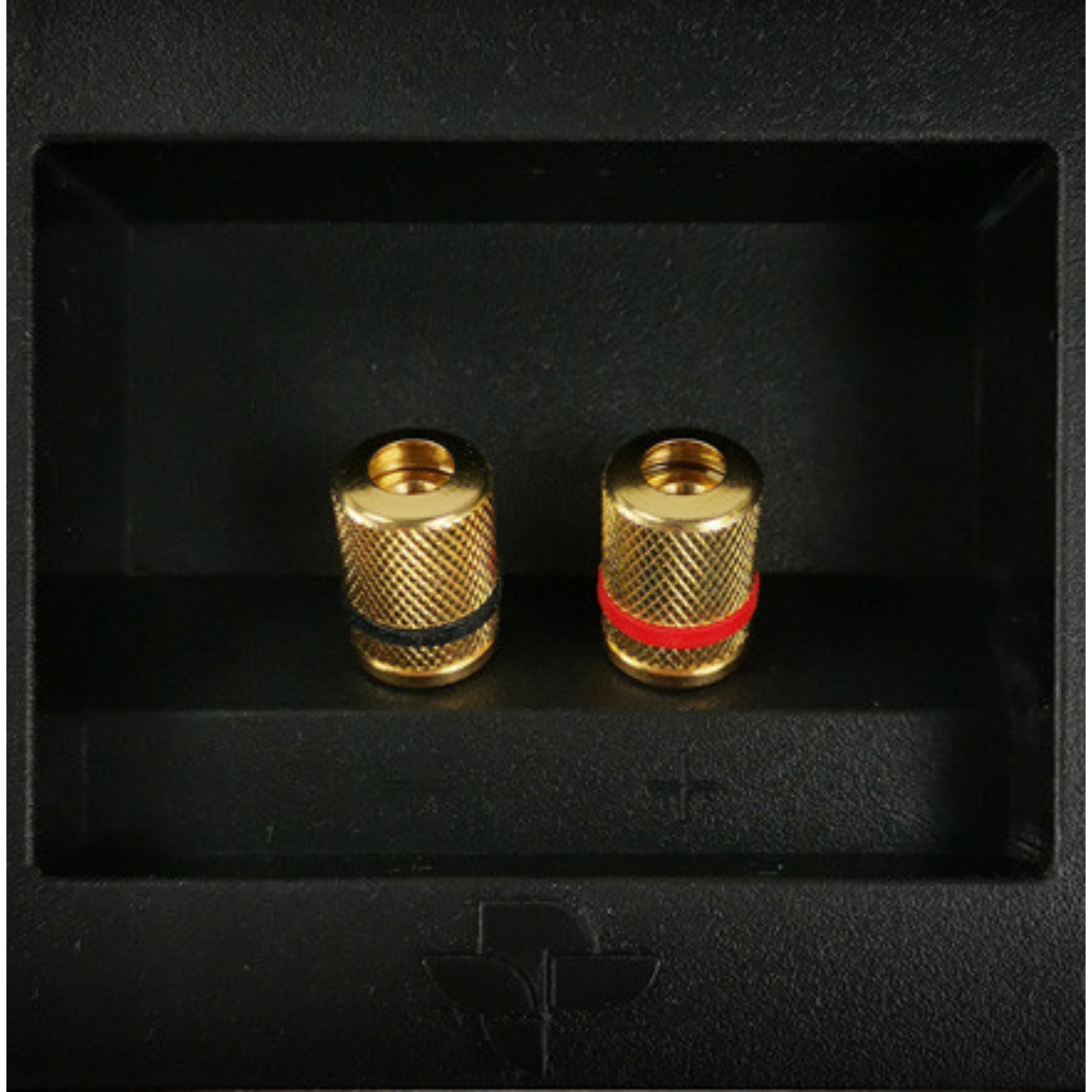 Totem KIN Flex Speaker