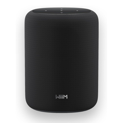 WiiM Sound Lite Smart Speaker