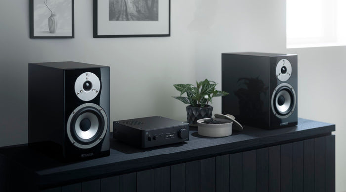 Yamaha gallery 2