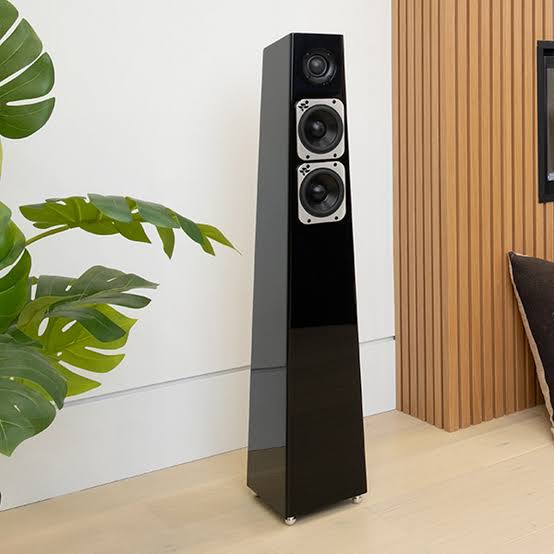 Totem Acoustic gallery 4