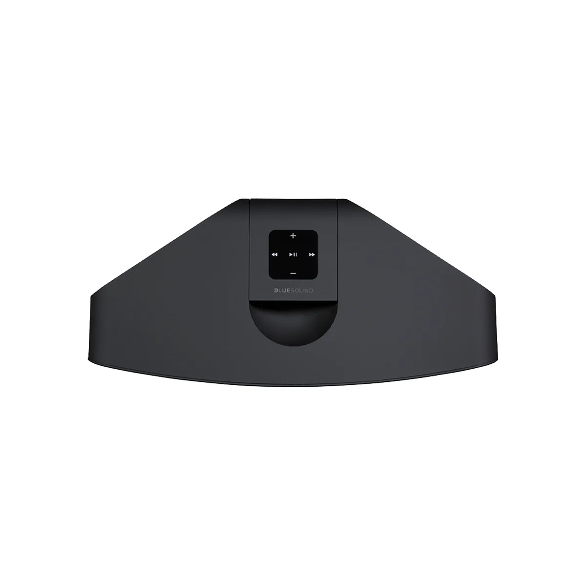 Bluesound PULSE 2i Speaker