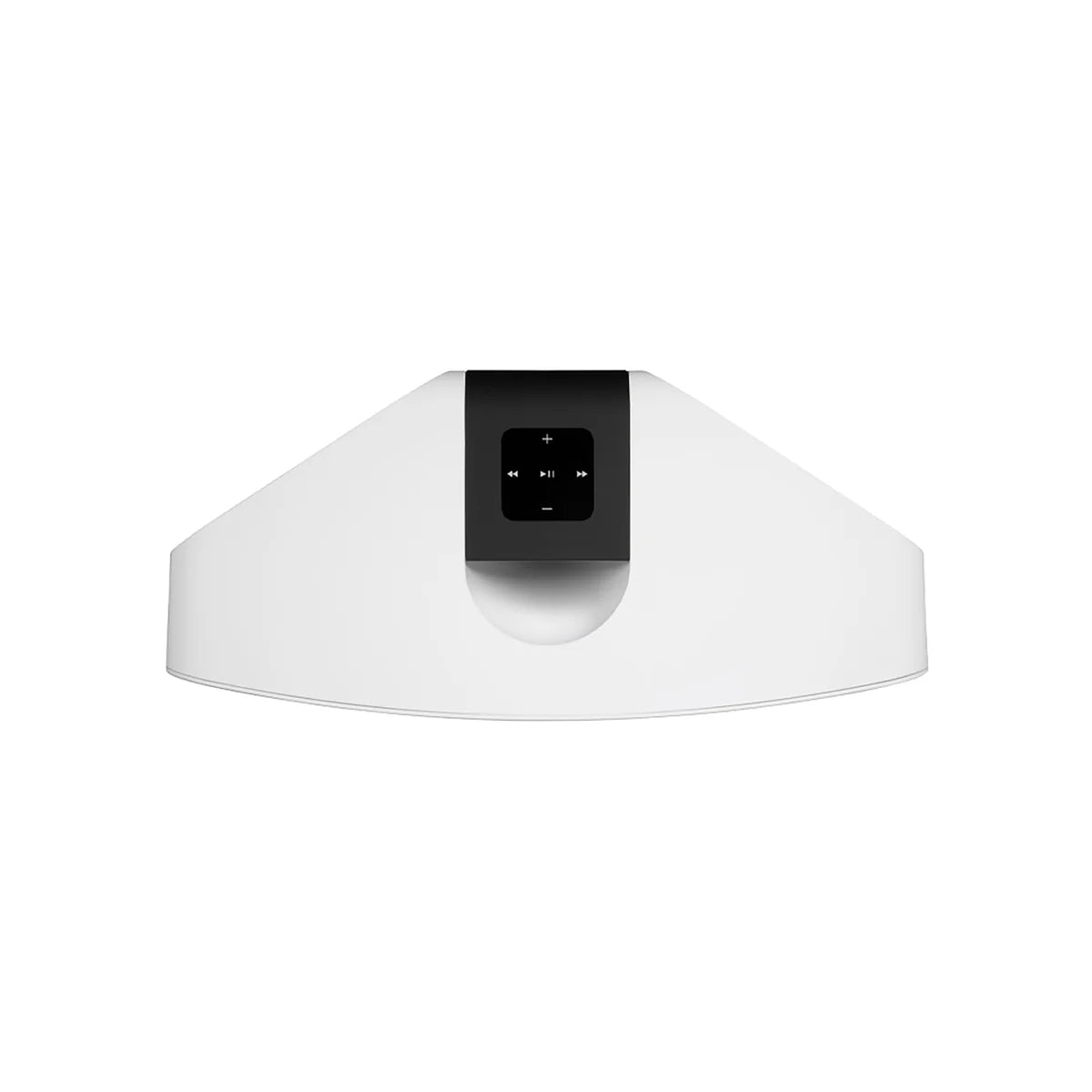 Bluesound PULSE 2i Speaker