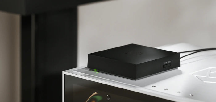 HiFi Rose gallery 5