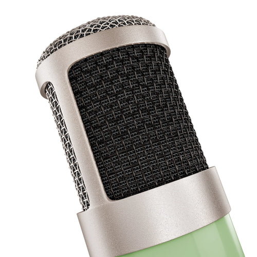 Singer using the UA Bock 251 microphone in a professional studio.