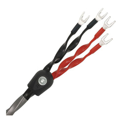 Wireworld Equinox 8 Biwired Speaker Cable (EQB) is available at Vinyl Sound. Best price on Wireworld Speaker Cables - Wireworld's audio speaker cables - Wireworld Digital Audio Cables - balanced and coaxial audio cables - Patented Wireworld audio interconnect cables - Wireworld power cables... 