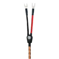Wireworld Mini Eclipse 8 Speaker Cable is available at Vinyl Sound. Best price on Wireworld Speaker Cables - Wireworld's audio speaker cables - Wireworld Digital Audio Cables - balanced and coaxial audio cables - Patented Wireworld audio interconnect cables - Wireworld power cables... 